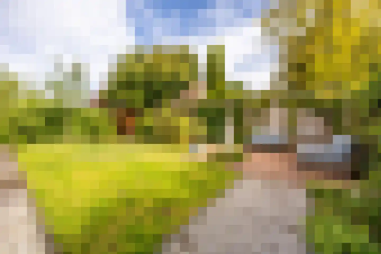 Hendrik de Keyserlaan 7 Heemstede thumbnail 22