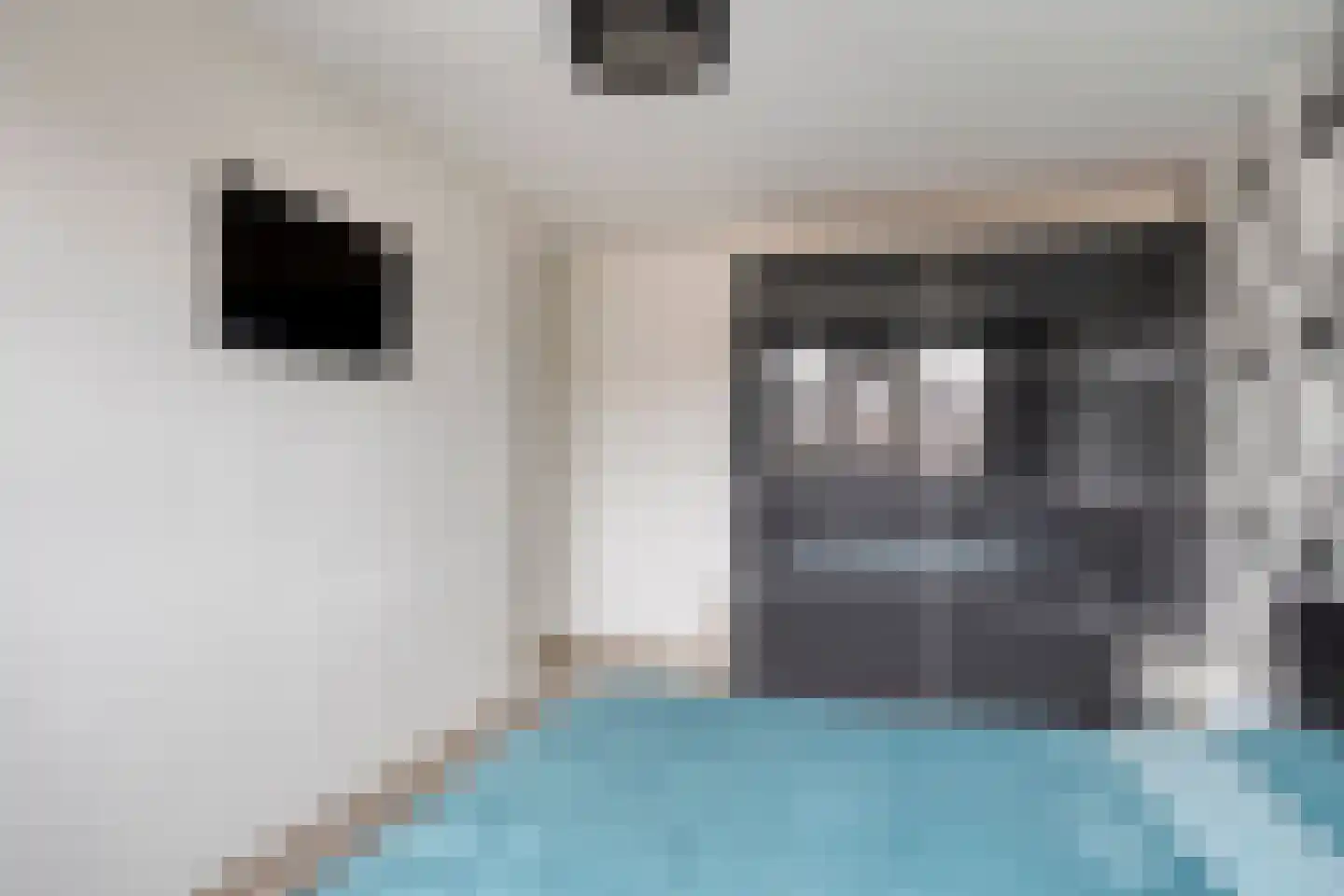 Hendrik de Keyzerlaan 87 Eindhoven thumbnail 22