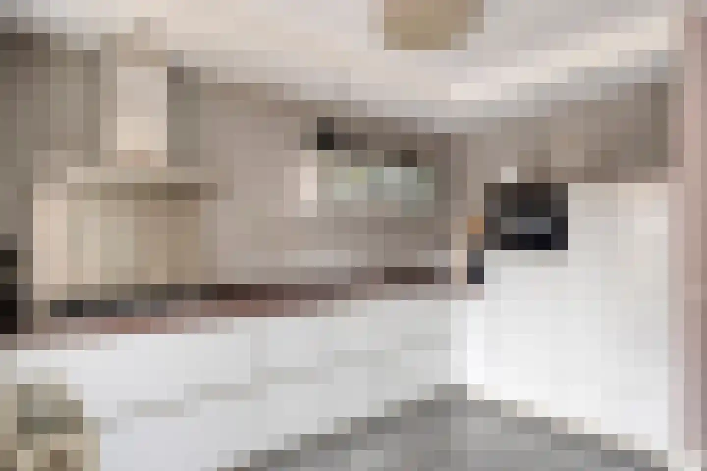 Hendrik de Keyzerlaan 87 Eindhoven thumbnail 4