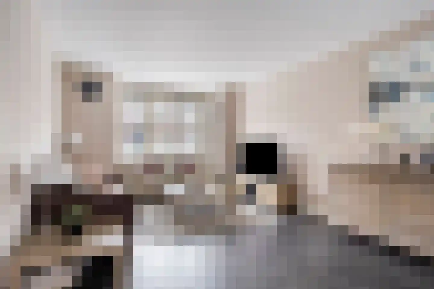 Hendrik de Keyzerlaan 87 Eindhoven thumbnail 9