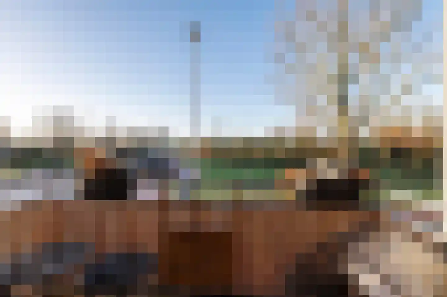 Hendrik de Liefdehof 14 Culemborg thumbnail 14
