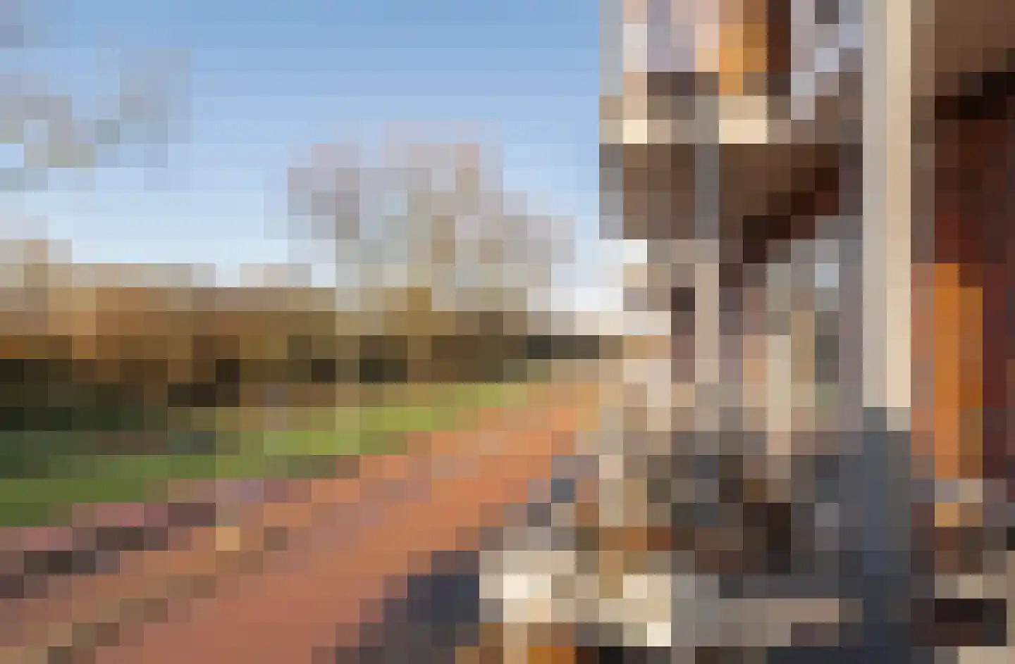 Hendrik de Liefdehof 14 Culemborg thumbnail 15