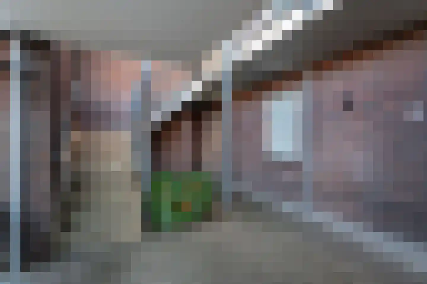 Hendrik de Liefdehof 14 Culemborg thumbnail 24