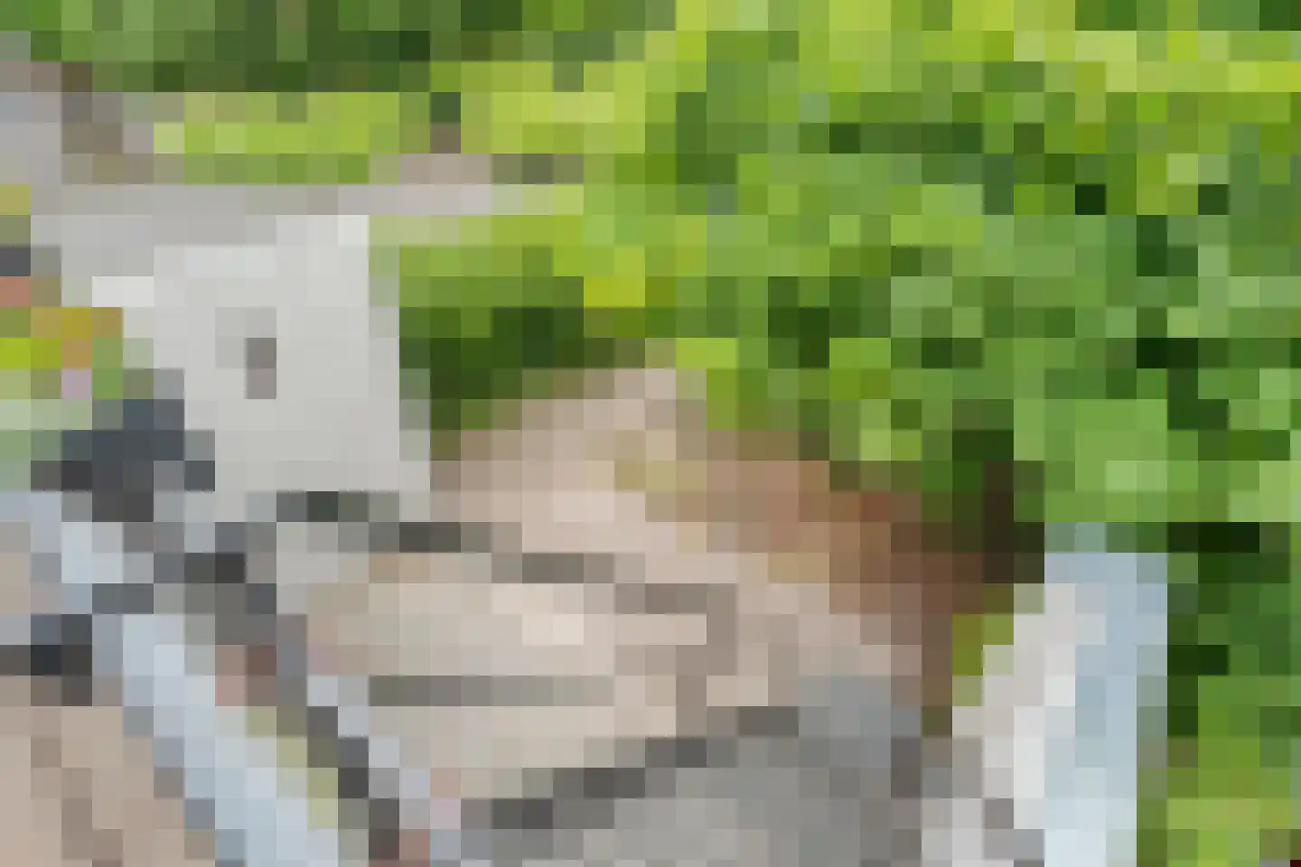 Hendrik de Ruiterstraat 4 Assen thumbnail 47