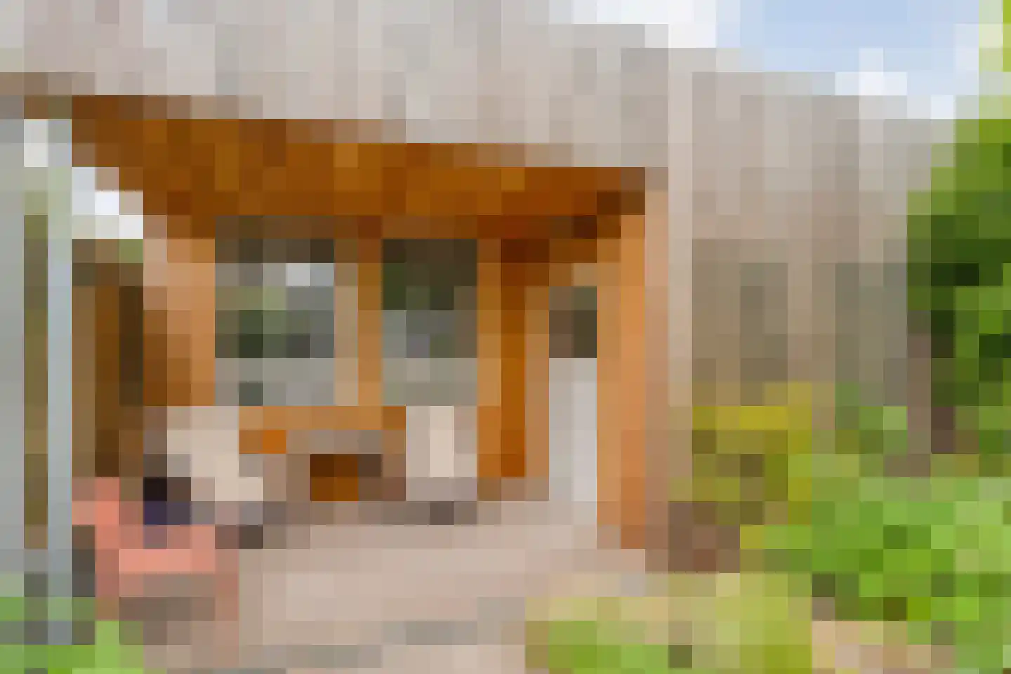 Hendrik de Ruiterstraat 4 Assen thumbnail 52