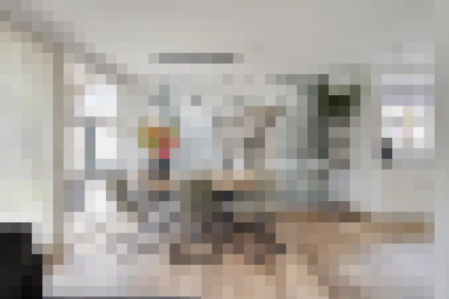 Hendrik de Swaeffstraat 1 Helmond thumbnail 15