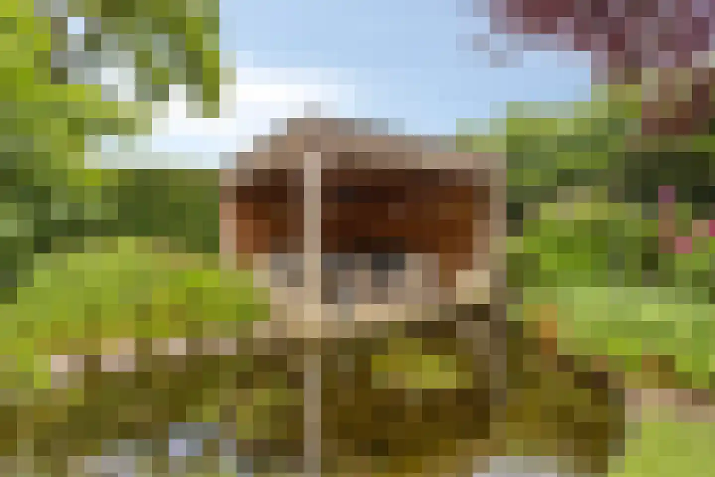 Hendrik de Swaeffstraat 1 Helmond thumbnail 40