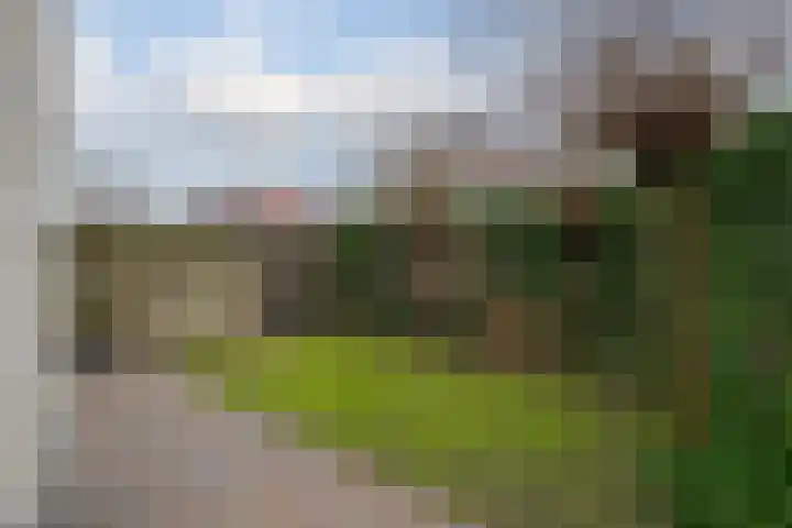 Hendrik de Vriesstraat 1 Groningen thumbnail 10