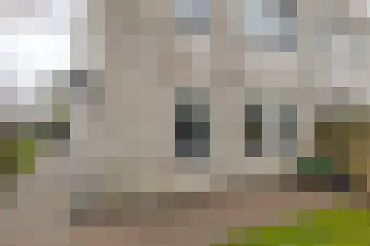 Hendrik de Vriesstraat 1 Groningen thumbnail 11