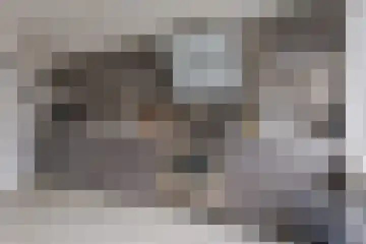 Hendrik de Vriesstraat 1 Groningen thumbnail 22