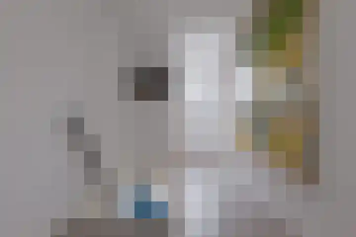 Hendrik de Vriesstraat 1 Groningen thumbnail 29