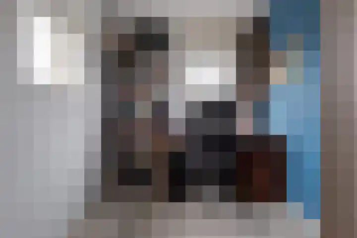 Hendrik de Vriesstraat 1 Groningen thumbnail 37