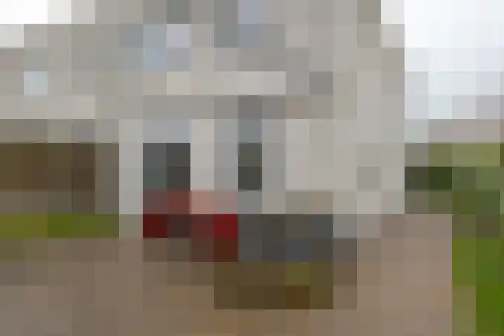 Hendrik de Vriesstraat 1 Groningen thumbnail 43