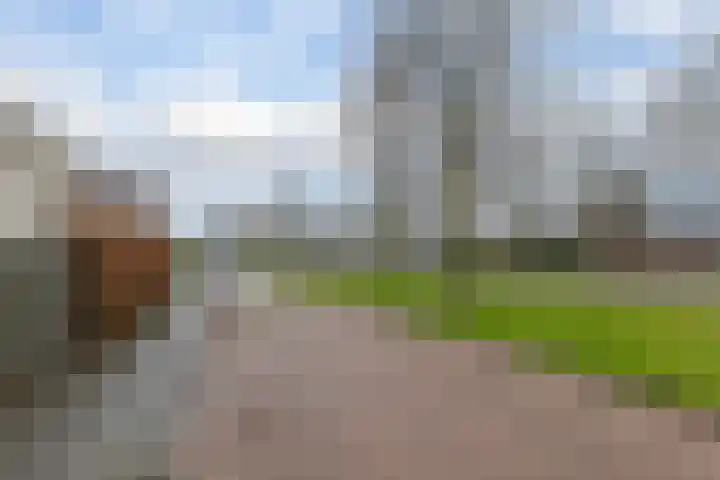 Hendrik de Vriesstraat 1 Groningen thumbnail 7