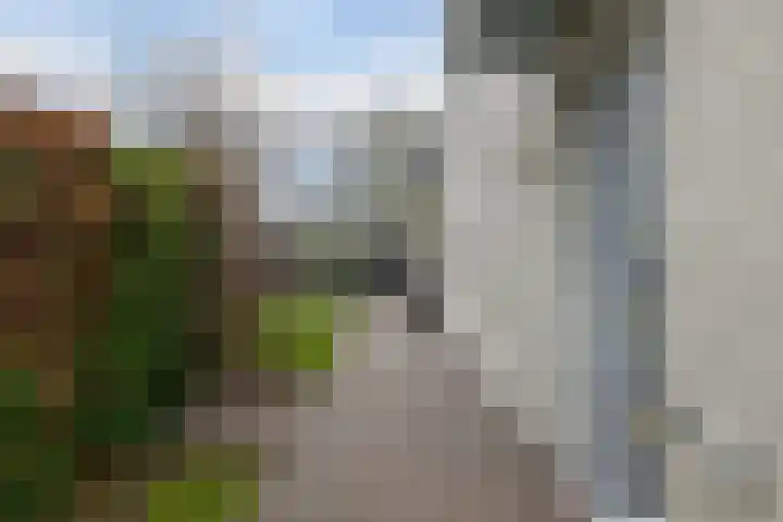 Hendrik de Vriesstraat 1 Groningen thumbnail 8