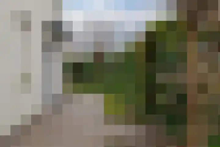 Hendrik de Vriesstraat 1 Groningen thumbnail 9