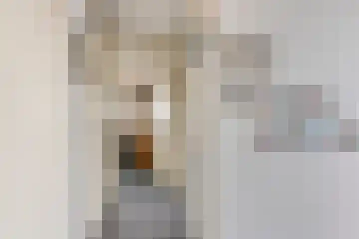 Hendrik de Vriesstraat 6 Groningen thumbnail 19