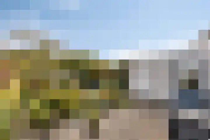 Hendrik de Vriesstraat 6 Groningen thumbnail 27