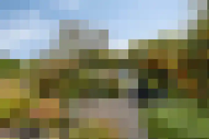 Hendrik de Vriesstraat 6 Groningen thumbnail 29