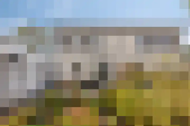 Hendrik de Vriesstraat 6 Groningen thumbnail 31
