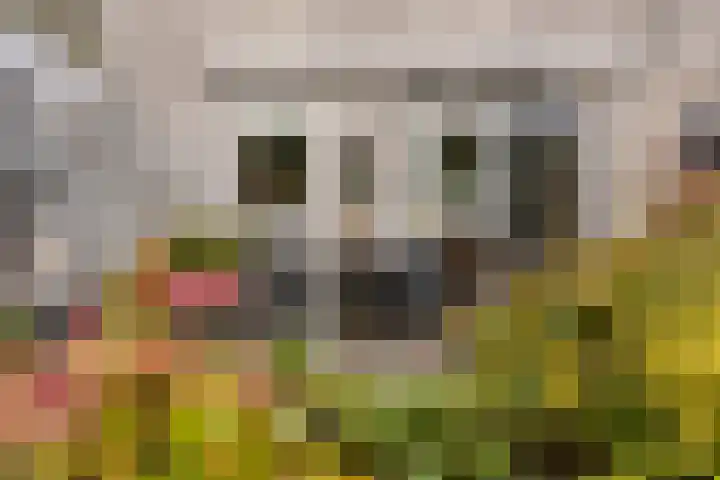 Hendrik de Vriesstraat 6 Groningen thumbnail 32