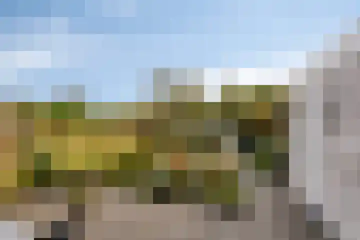 Hendrik de Vriesstraat 6 Groningen thumbnail 5