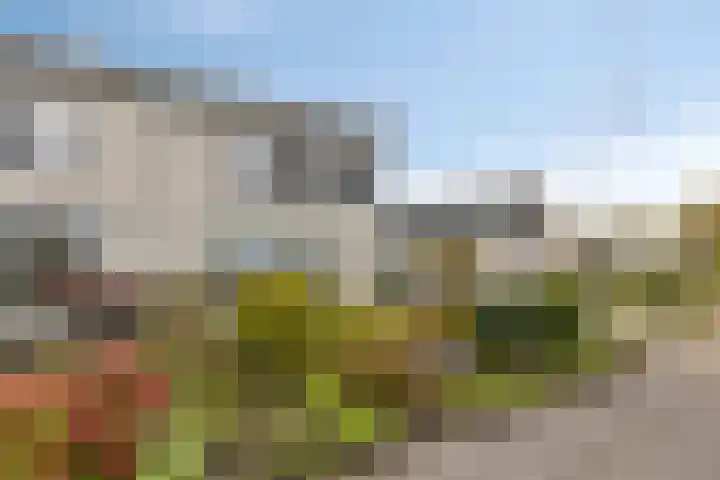 Hendrik de Vriesstraat 6 Groningen thumbnail 7