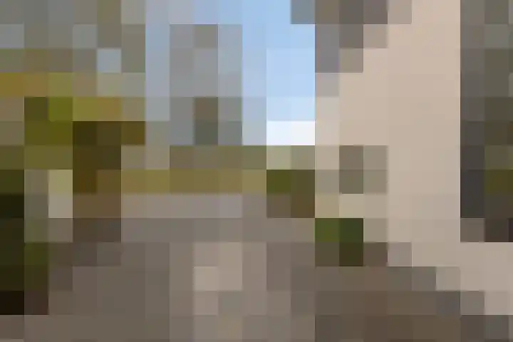 Hendrik de Vriesstraat 6 Groningen thumbnail 8