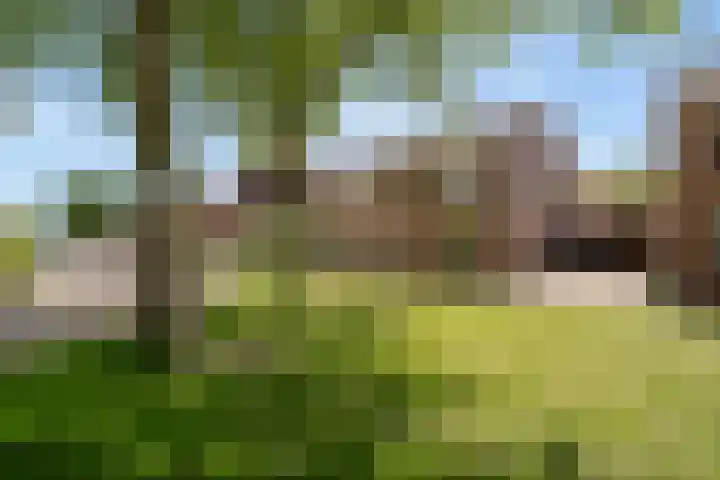 Hendrik de Vroomestraat 1 B Steenwijk thumbnail 30