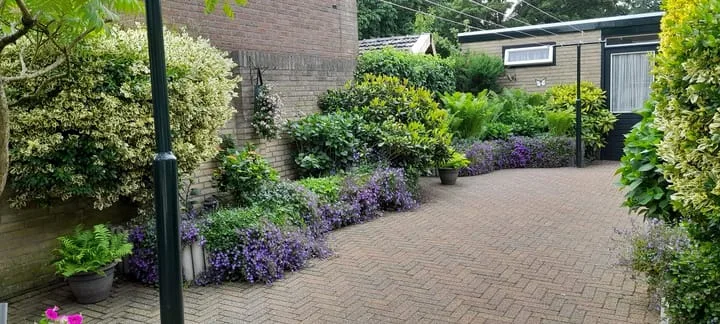 Hendrik de Vroomestraat 1 Steenwijk thumbnail 36