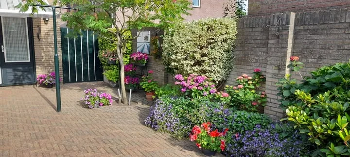 Hendrik de Vroomestraat 1 Steenwijk thumbnail 43