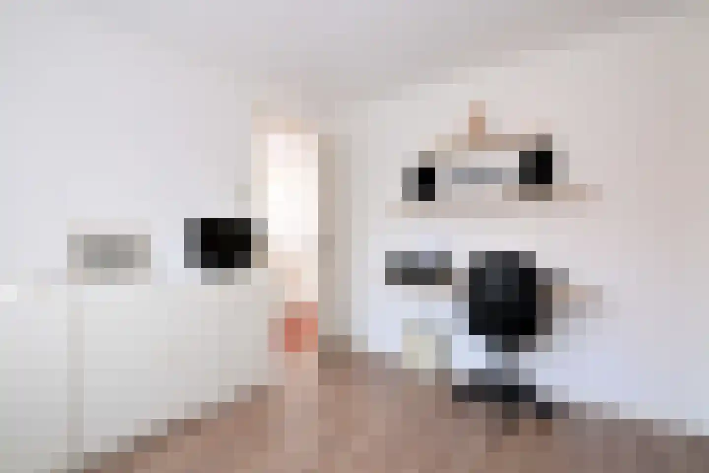 Hendrik Droststraat 26 Olst thumbnail 27