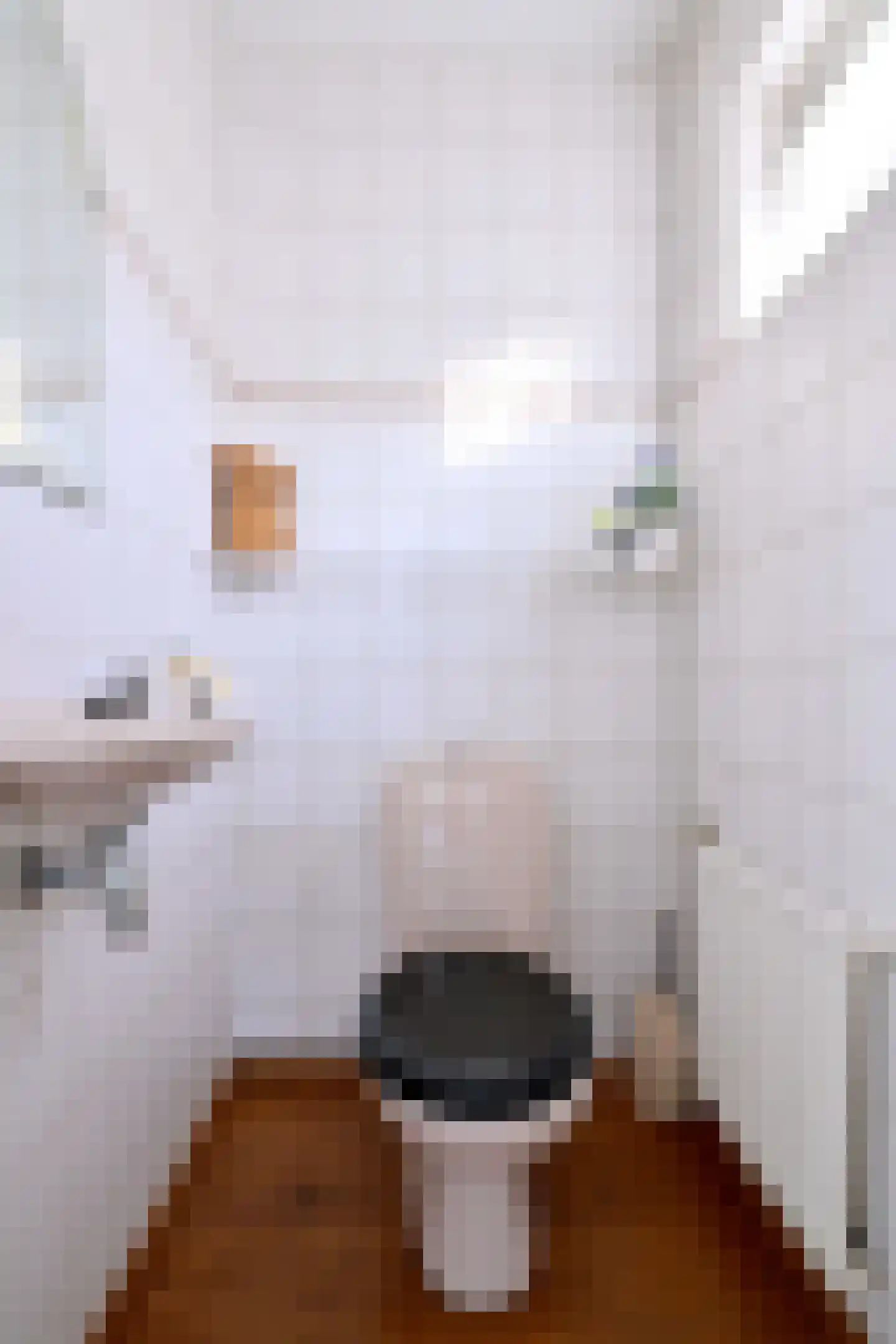 Hendrik Droststraat 26 Olst thumbnail 6