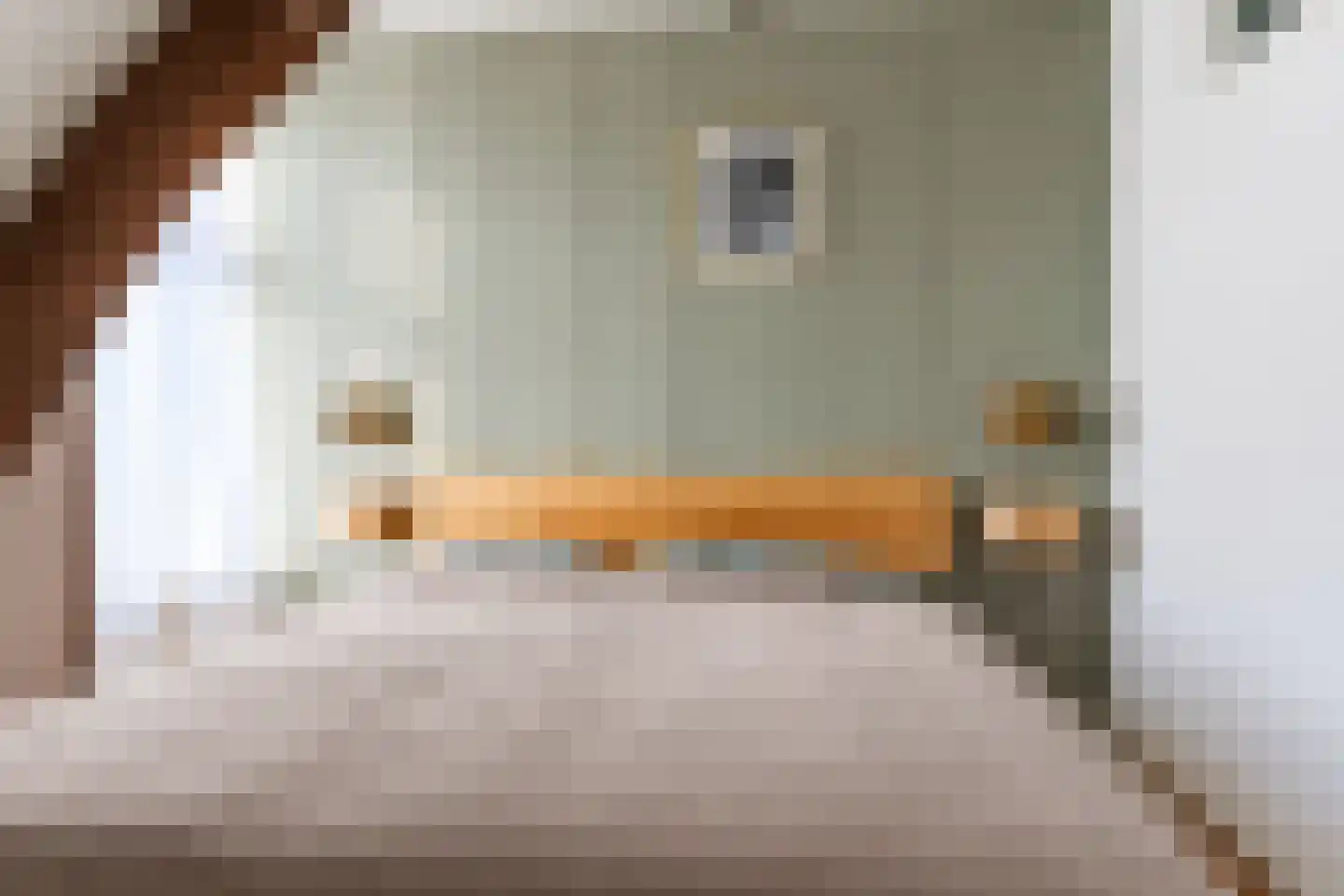 Hendrik Droststraat 33 Olst thumbnail 26