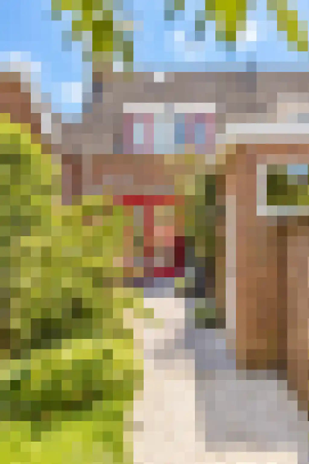 Hendrik Droststraat 33 Olst thumbnail 28