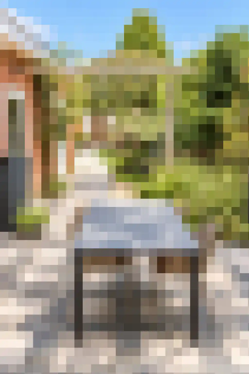 Hendrik Droststraat 33 Olst thumbnail 35