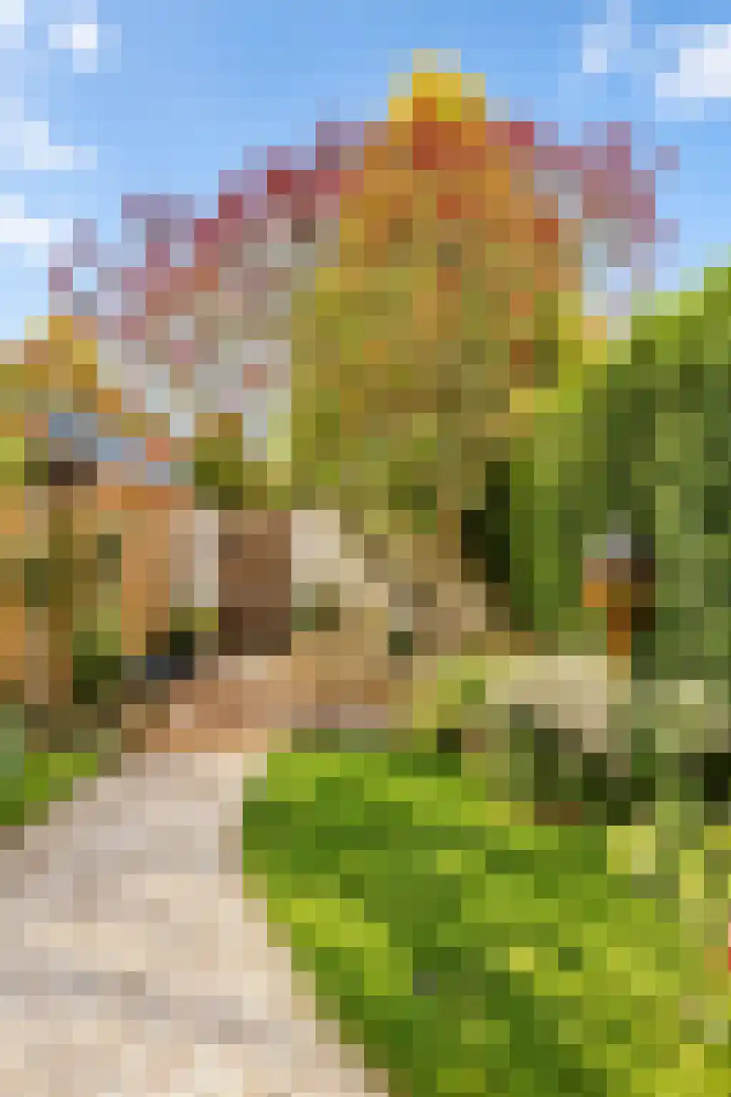 Hendrik Droststraat 33 Olst thumbnail 36