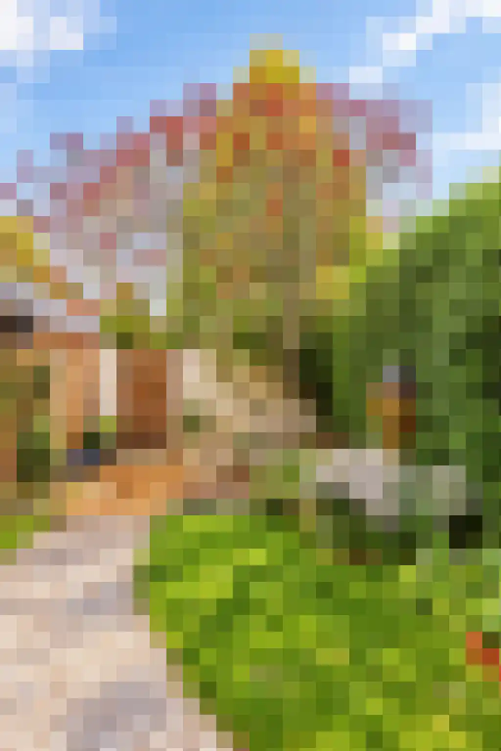 Hendrik Droststraat 33 Olst thumbnail 37