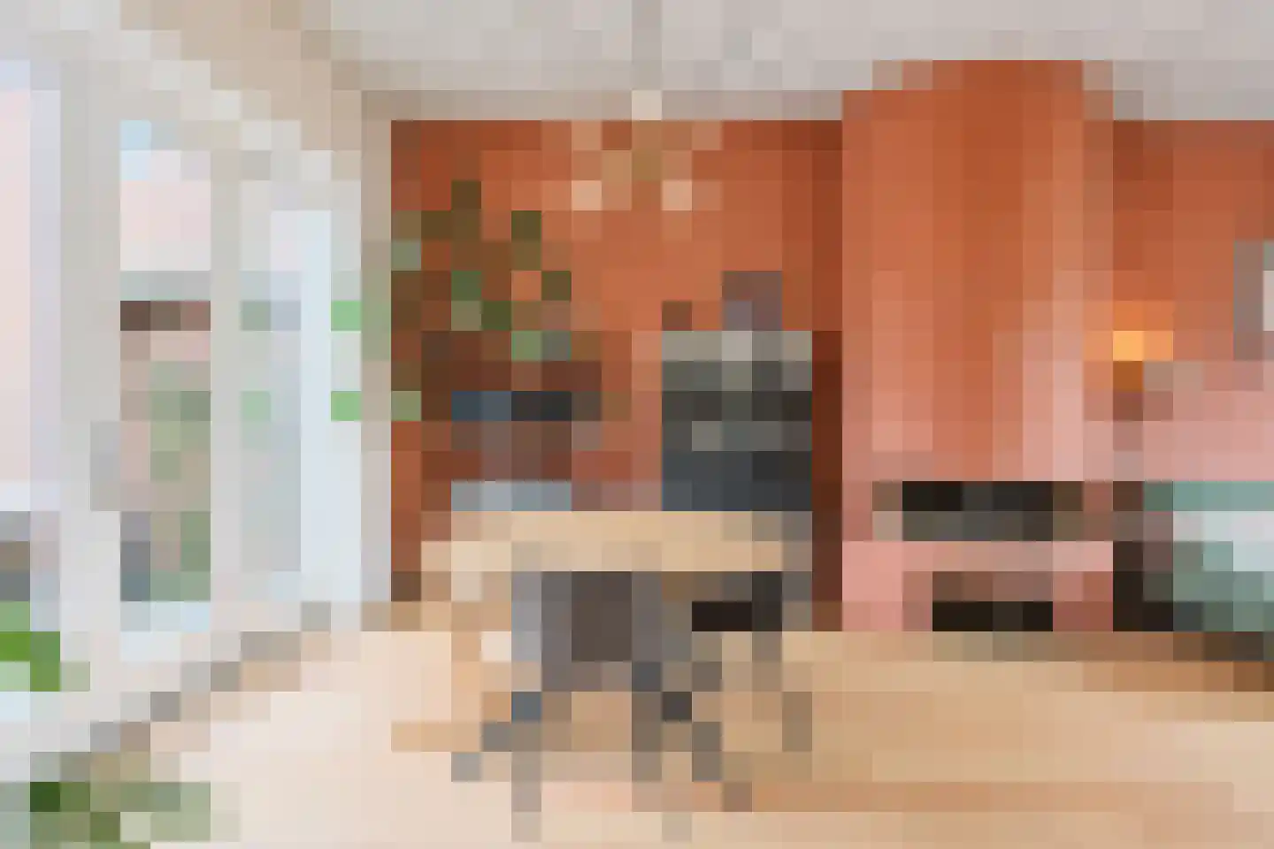 Hendrik Droststraat 33 Olst thumbnail 5