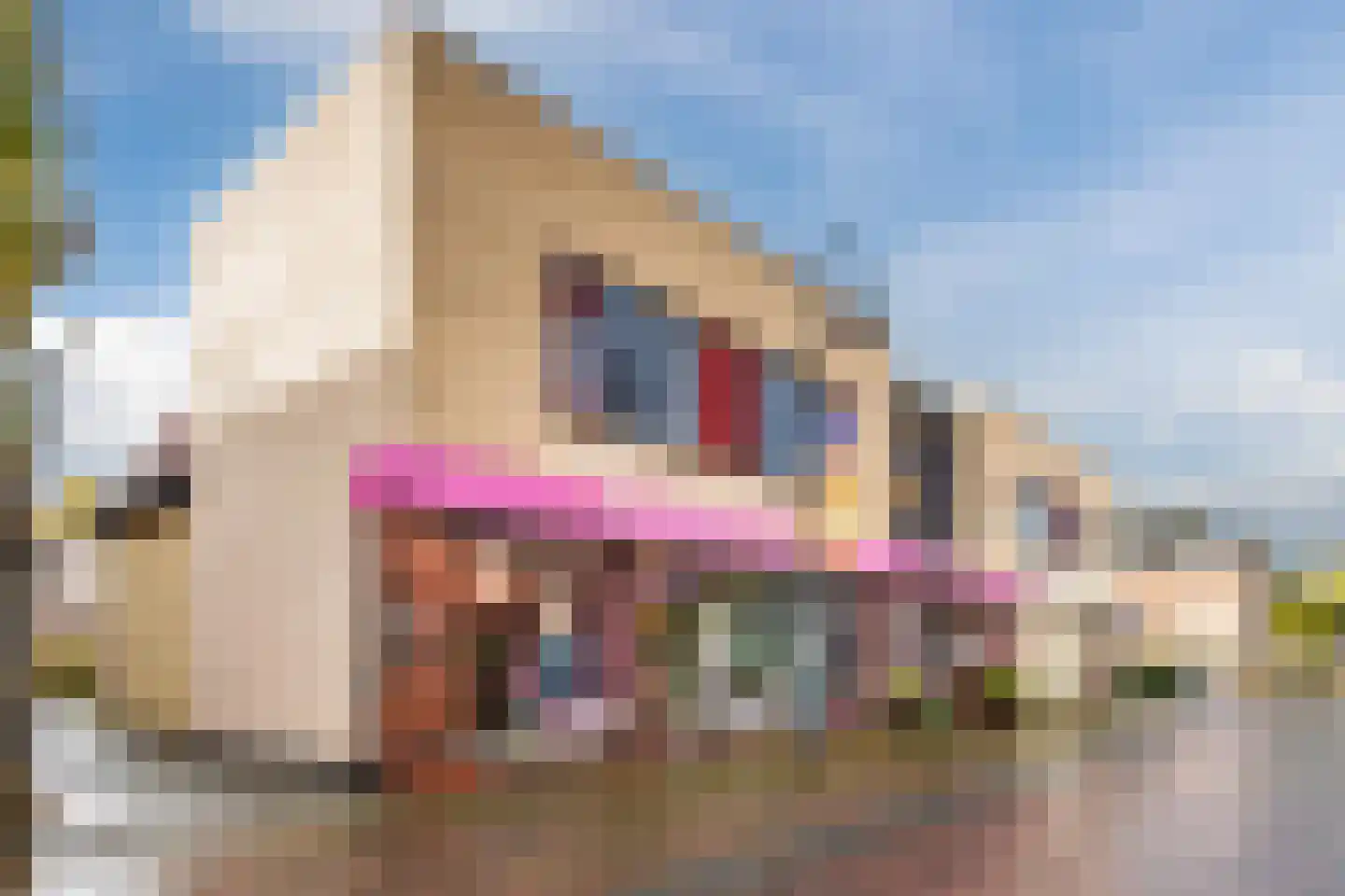 Hendrik Droststraat 42 Olst