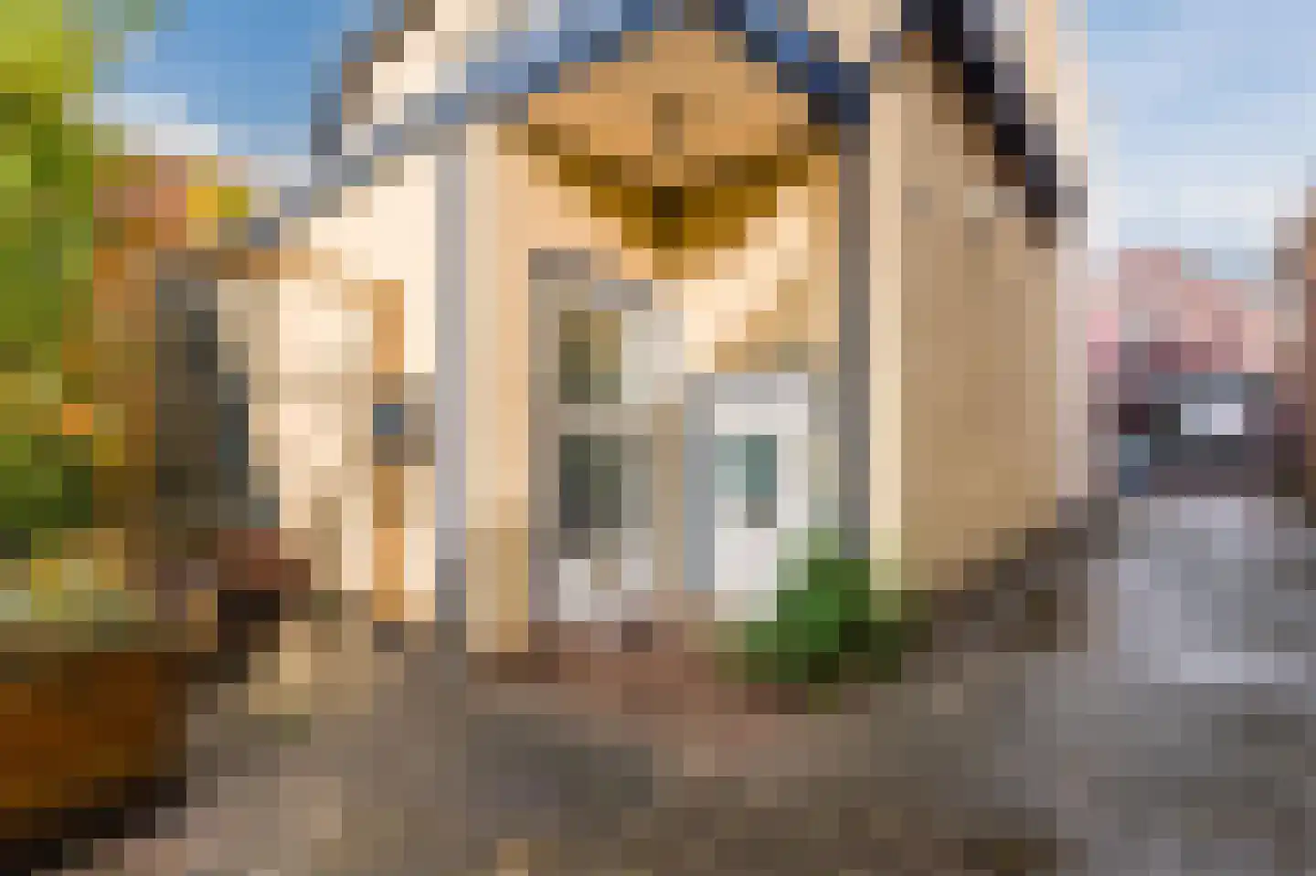 Hendrik Droststraat 42 Olst thumbnail 23