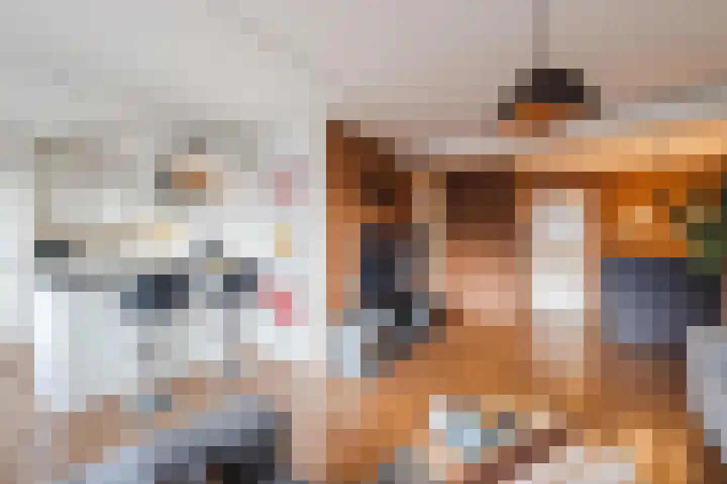 Hendrik Droststraat 42 Olst thumbnail 4