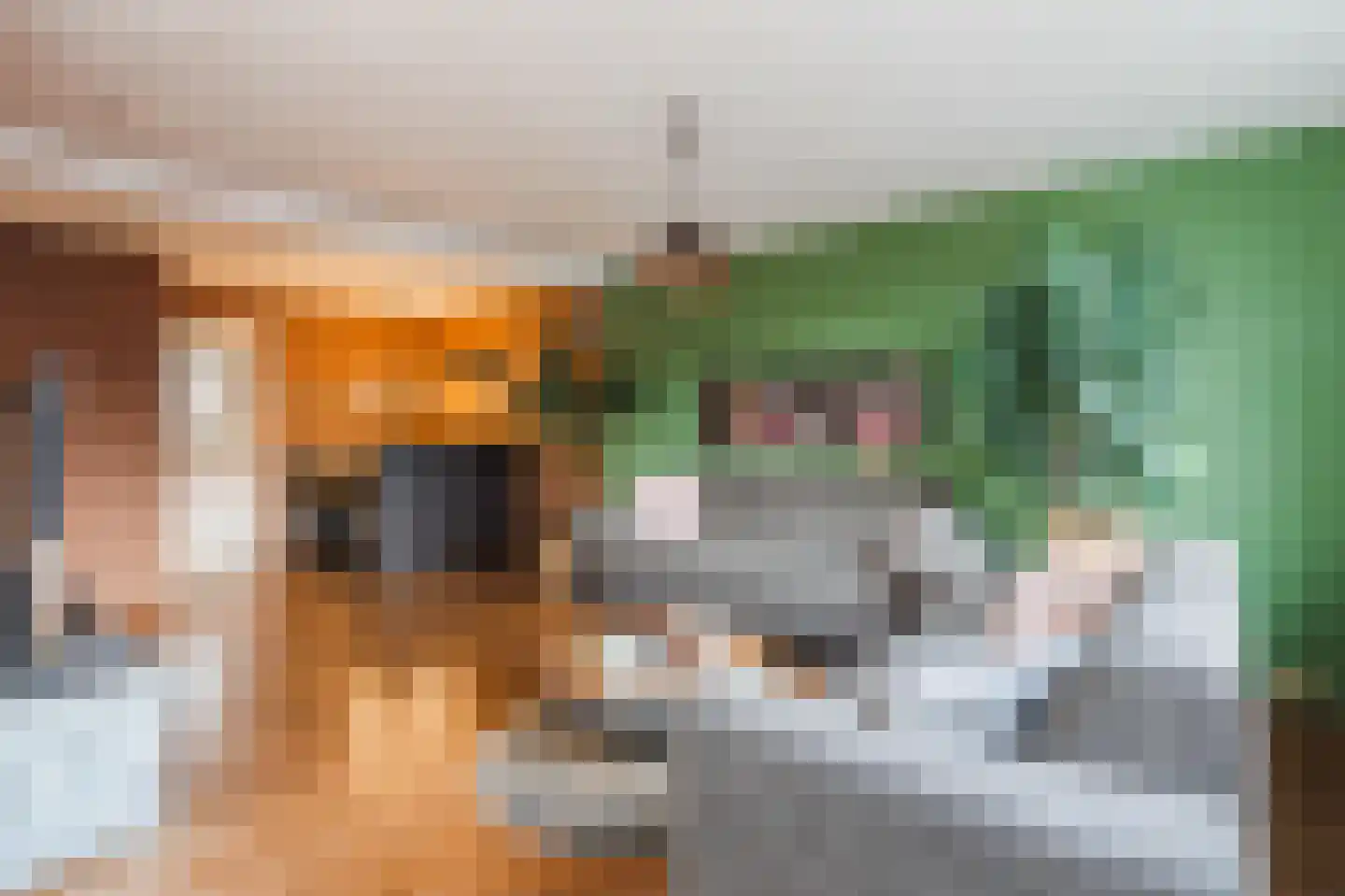 Hendrik Droststraat 42 Olst thumbnail 5