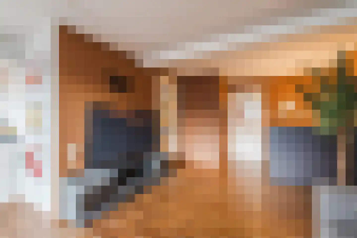 Hendrik Droststraat 42 Olst thumbnail 6