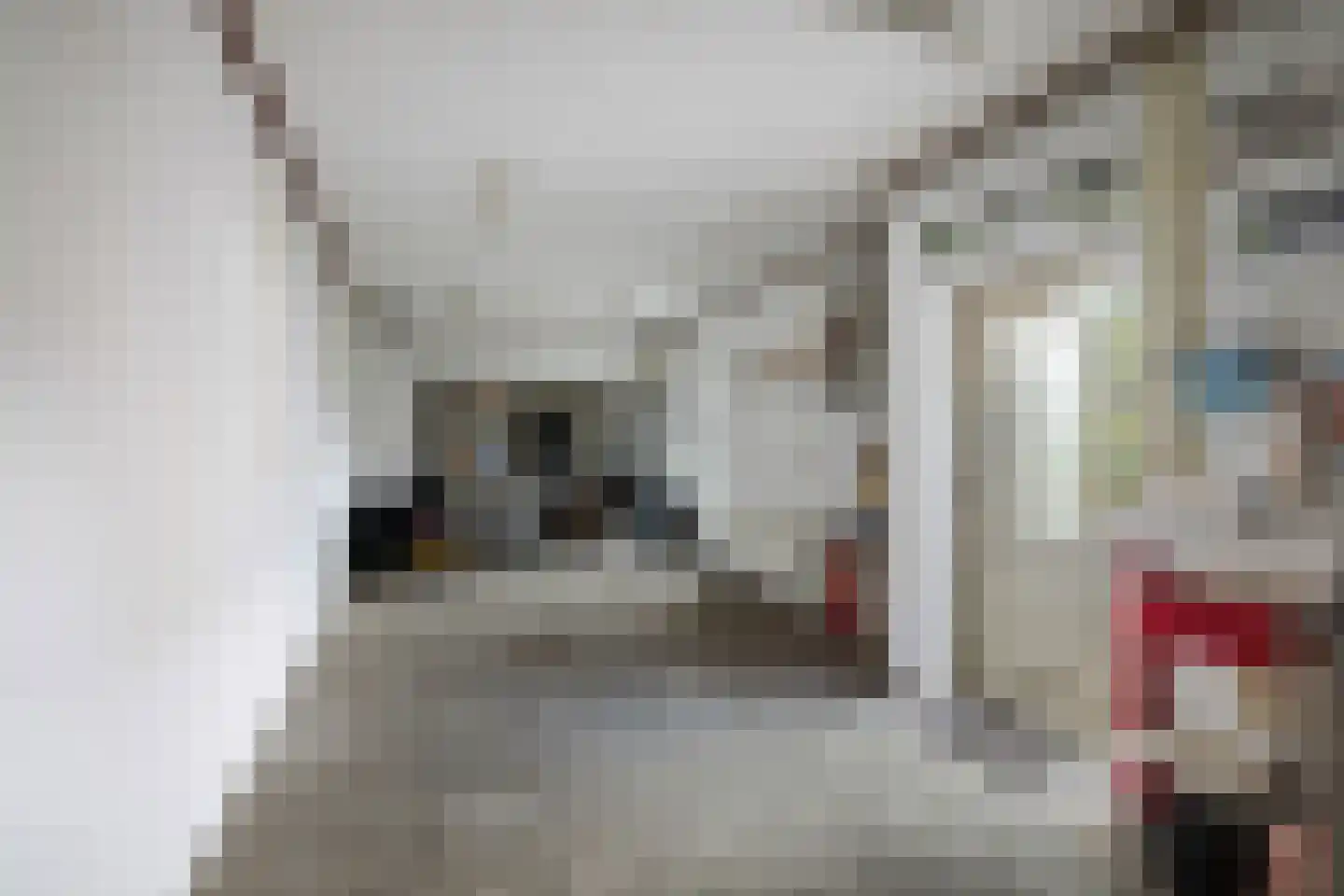Hendrik Droststraat 44 Olst thumbnail 24