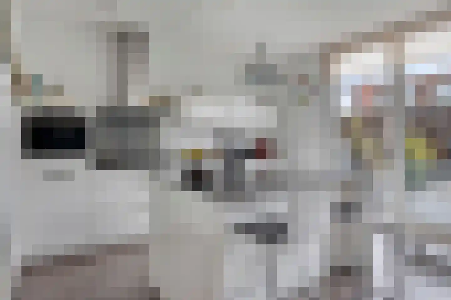 Hendrik Druckerstraat 9 Eindhoven thumbnail 17