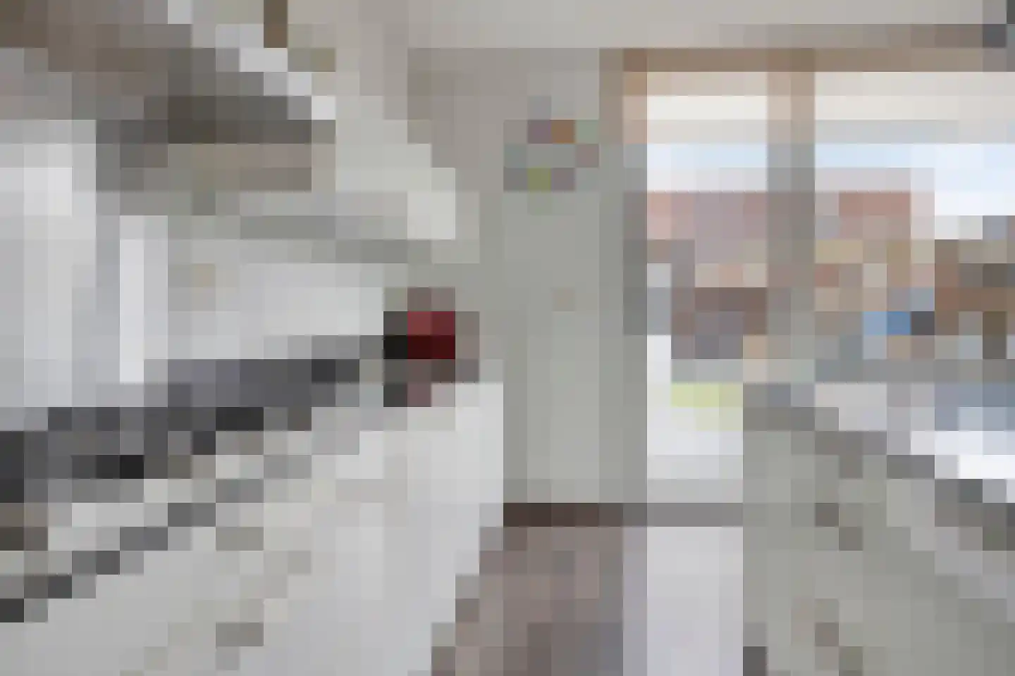 Hendrik Druckerstraat 9 Eindhoven thumbnail 18