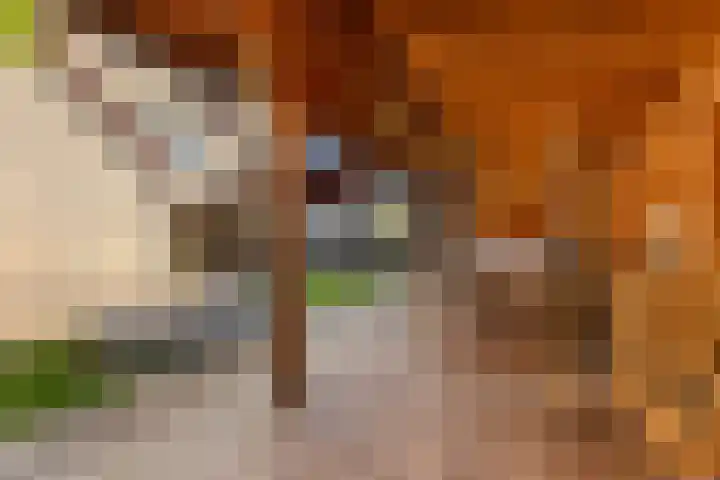 Hendrik Evinkstraat 27 Wilsum thumbnail 28