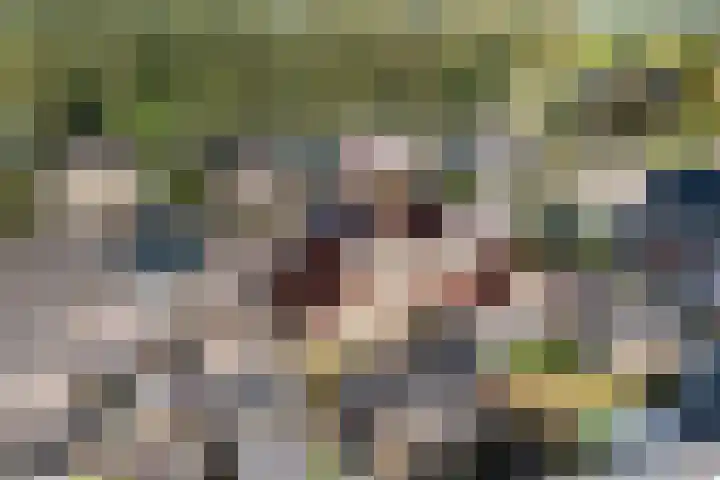 Hendrik Evinkstraat 27 Wilsum thumbnail 31