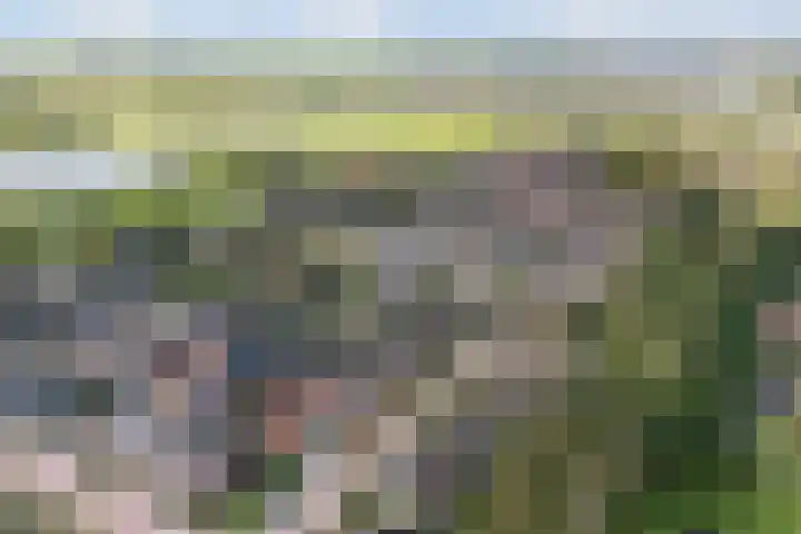 Hendrik Evinkstraat 27 Wilsum thumbnail 32